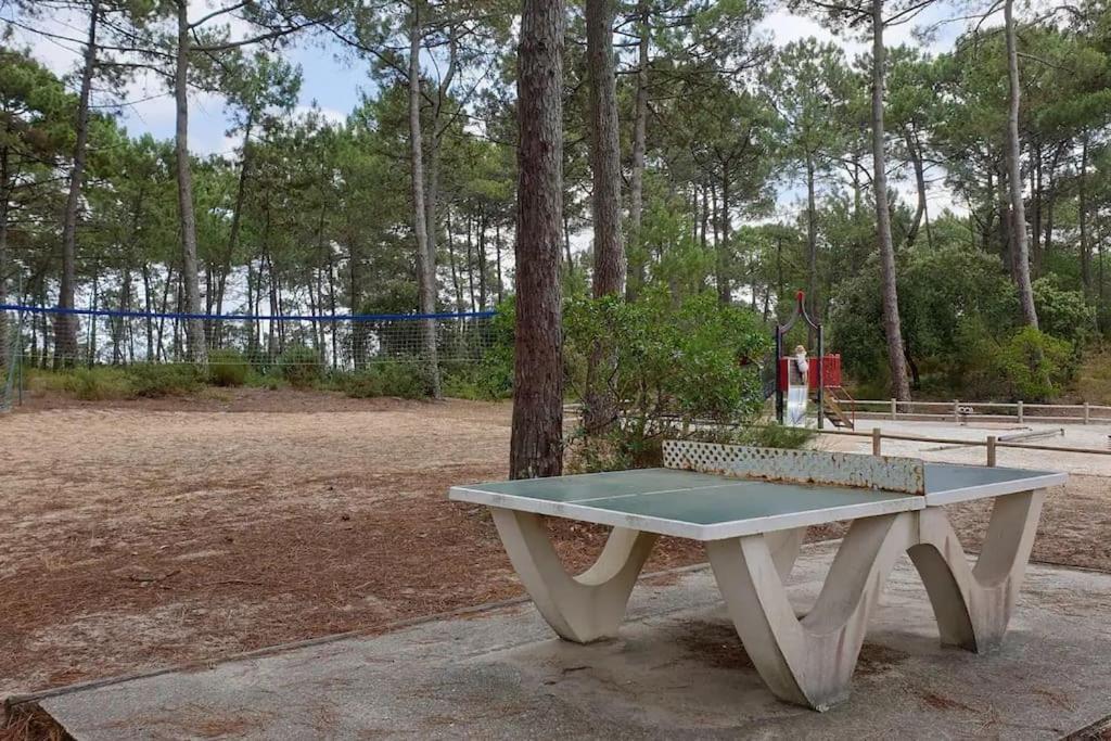 Appartement Les Grands Pins - T2 Avec Piscine